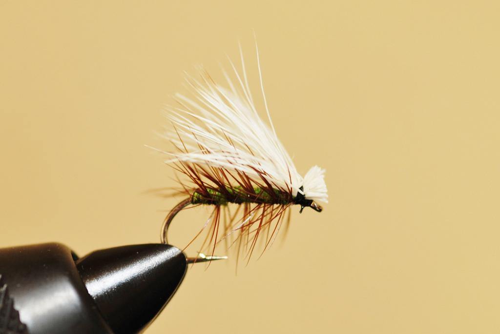 Fly Shop Complete Fly Set SD Selection Elk Hair Caddis Olive Set 12 12 No.