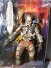 Alien Predator Vs.