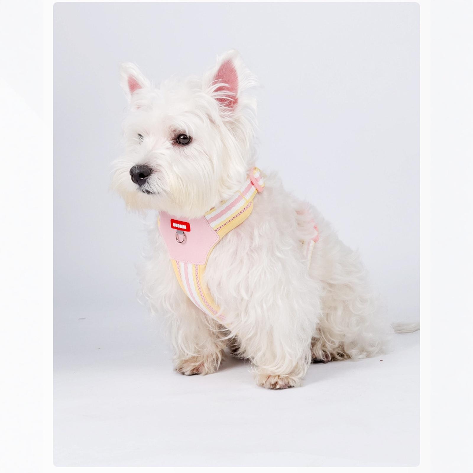 

Шлейка-H для маленьких и средних собак, Без рывков &, Побегозащитная, Мягкая сетчатая жилетка, Регулируемая посадка XS розовый