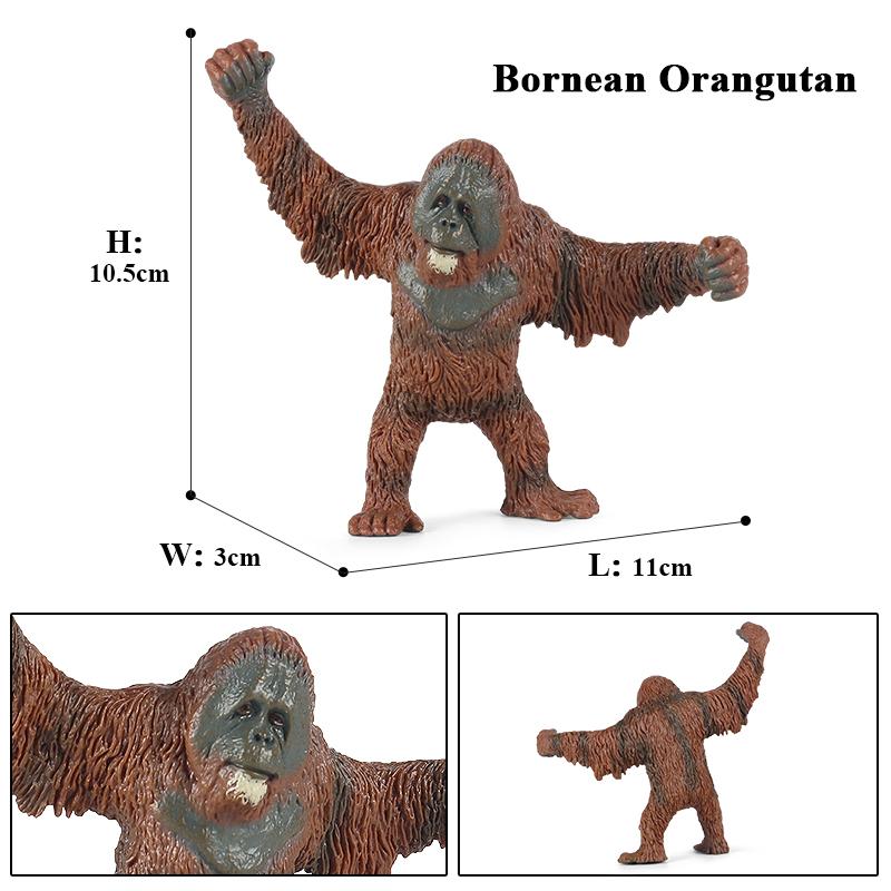 

Oenux Original Wild Animal Action Figures Monkey Chimpanzee Orangutan Golden Gibbon Model Pvc Miniature Kids Educational Toys