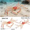 Ocean Crab Simulation Toy Set: Includes Hermit, Swimming, and Three-Spot Plastic Models