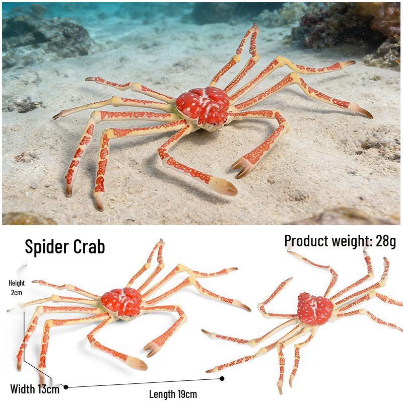 Ocean Crab Simulation Toy Set: Includes Hermit, Swimming, and Three-Spot Plastic Models