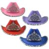 Vintage Prom Party Sequin Crown Cowboy Hat Christmas Hat Big Brim Hat Jazz Top Hat Costumes for Fancy Dress Parties