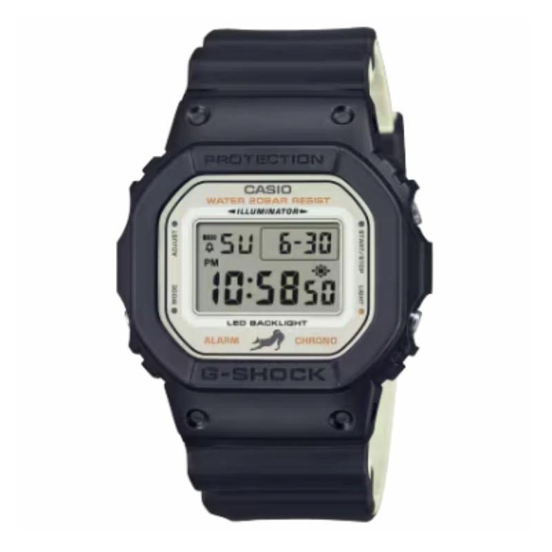 CASIO 5600 series 200 meters waterproof Quartz resin strap men's watch gray dial DW-5600SHB-1JR