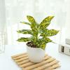 Lifelike Simulation Potted Plants Plastic Green Pot Plants Decoration  Outdoor Indoor Decoration
