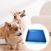 Cat Dog Pool Folding Swimming Pool PVC Small Pet Bathtub Non-inflatable Dog Paddling Pool Pet Funny Supplies 50*50cm