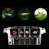 Acrylic Double-Deck Clear Fish Breeding Isolation Box Hatchery Divider for Shrimp Clownfish Aggressive Fish Injured