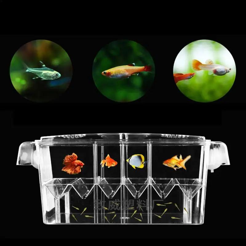 Acrylic Double-Deck Clear Fish Breeding Isolation Box Hatchery Divider for Shrimp Clownfish Aggressive Fish Injured