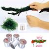 120M DIY Moss Line Binding Line Super Strong Transparent Nylon Aquatic Grass Live Plant Driftwood String Aquarium Decorations