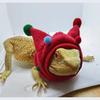Creative Lizard Transformation Outfit Funny Horn Ball Hat Scarf Halloween Lizard Hat Clothes Climbing Pet Decoration Props