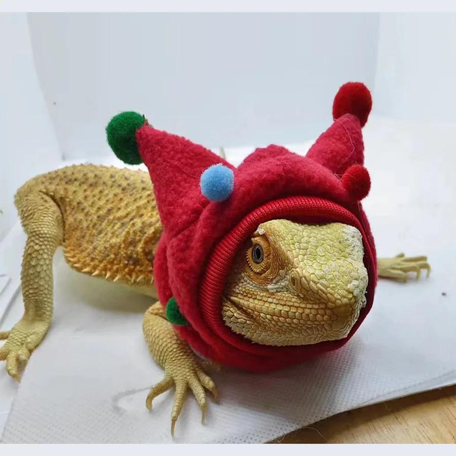 Creative Lizard Transformation Outfit Funny Horn Ball Hat Scarf Halloween Lizard Hat Clothes Climbing Pet Decoration Props