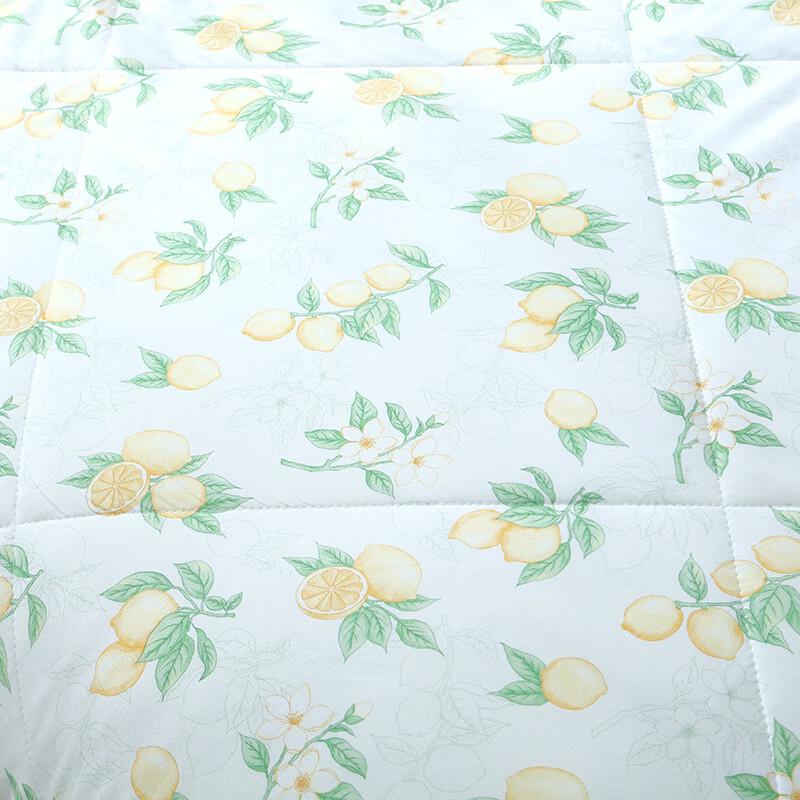 Hongdou 7A Antibacterial Washed Cotton Summer Quilt
