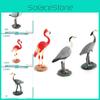 Levendige PVC-modellen van flamingo's, reigers en kraanvogels, prachtige woondecoratie en verzamelbaar speelgoed.