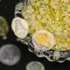 Etichete, marcaje, ștampile – Linguri pentru topire ceară