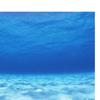 Side Decorative Aquarium Background Poster Fish Backdrop Static Cling Sticker, Undersea World