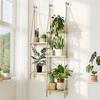 ABBP-Hanging Shelves Plant Hanger Indoor Window Plant Shelves Wood Plant Wall Shelf Window Sill Plant Shelf Indoor