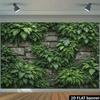 Wild Jungle Natural Moss Stone Wall Outdoor Photo Background