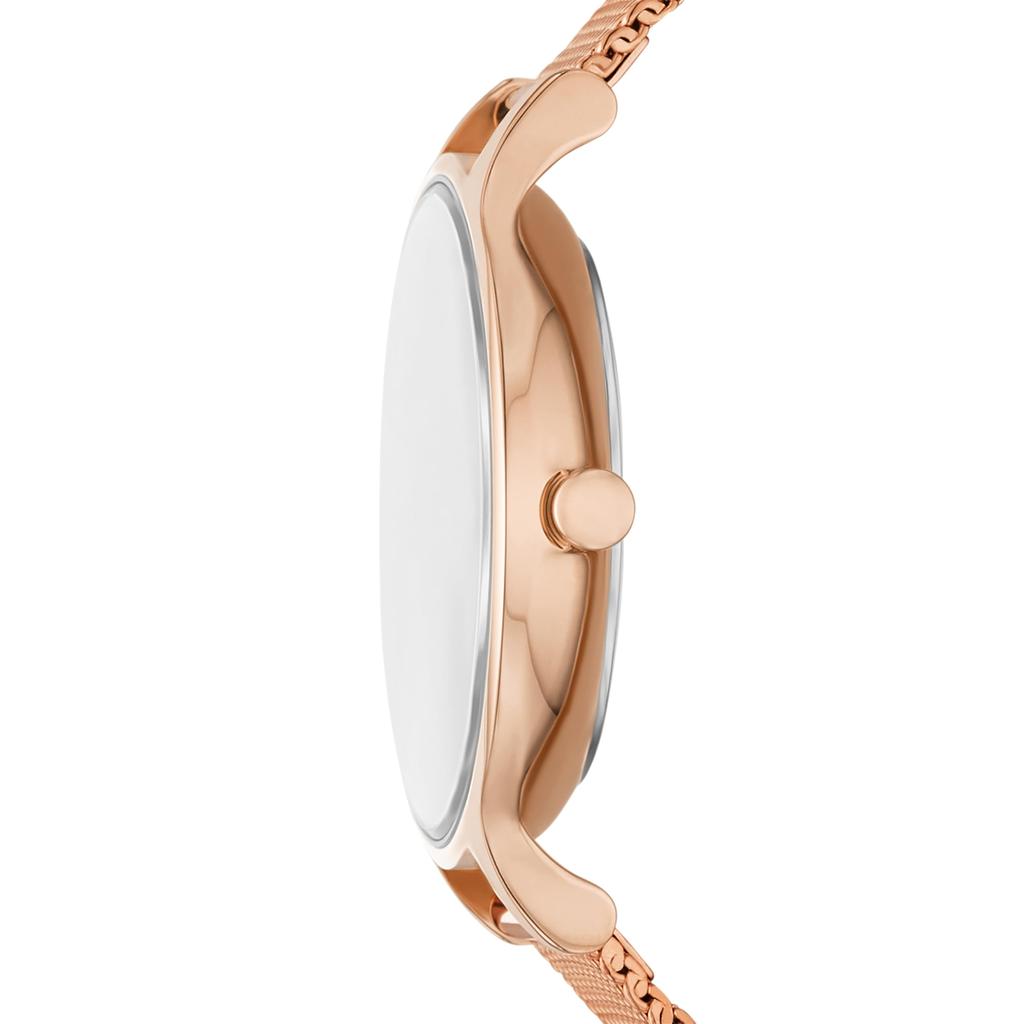 Watch ANITA LILLE SKW3150 Pink Gold [Skagen] Women's