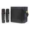 Wireless Bluetooth Speaker Dual Microphone Portable Karaoke Speaker Home Theater