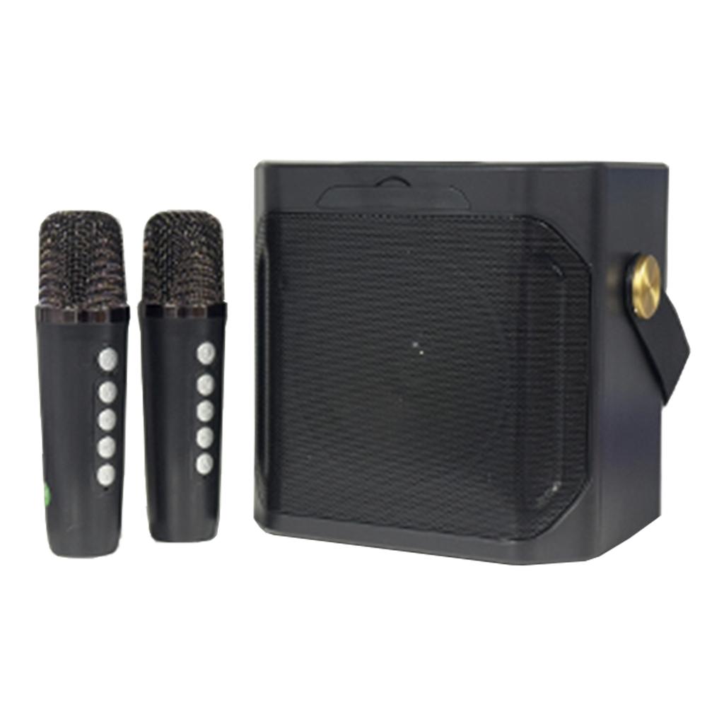 Wireless Bluetooth Speaker Dual Microphone Portable Karaoke Speaker Home Theater