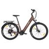 TTGO Z3: 48V15Ah charges overnight. 250W motor eco-friendly. 27.5" tires smooth. Tow seat for family