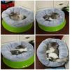 Pet Sleep Blanket Cat and Dag Round Soft Plush Bed