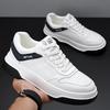New Spring Men's Board Shoes Casual Shoes Korean Version Trend Breathable Versatile Sports Board Shoes White Shoes Men's Shoes