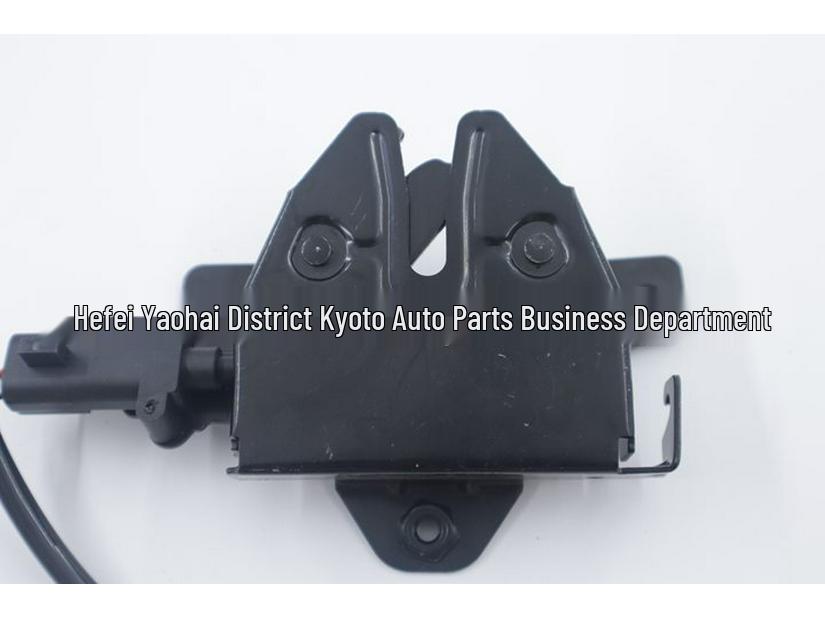 Hood Latch 811302W001 for Hyundai IX45