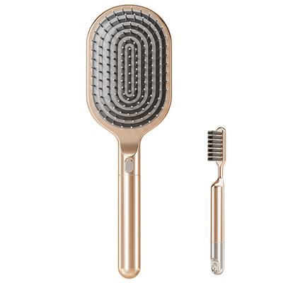Hanature Hair Brush Scalp Brush Cleaning Brush Suitable for and All Hair with Drainage Easy Smooth Wet and Dry Birthday Champagne Gold (Upgraded Set)