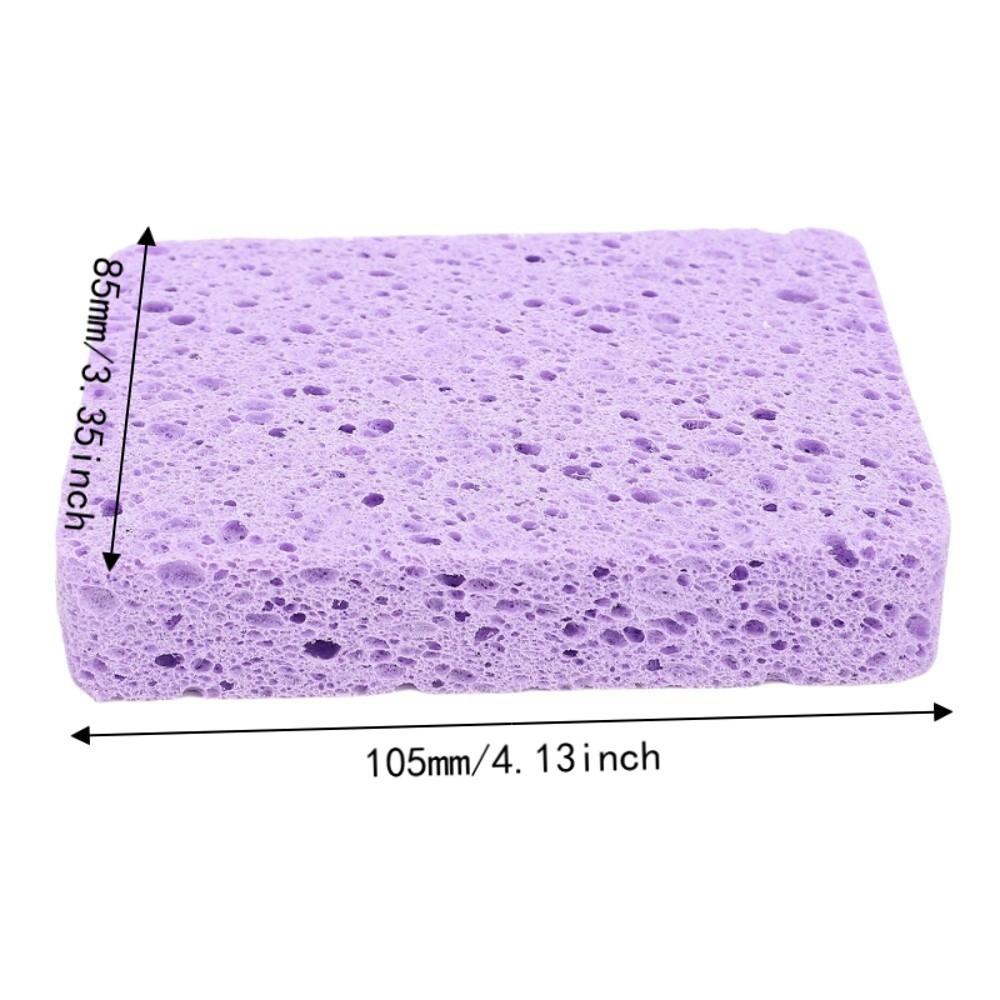 3pcs With Storage Case Watercolor Sponge Rectangle Shape Artist Sponge  For Art Supplies