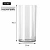ZISIZ Transparent Anti-fall Acrylic Vase