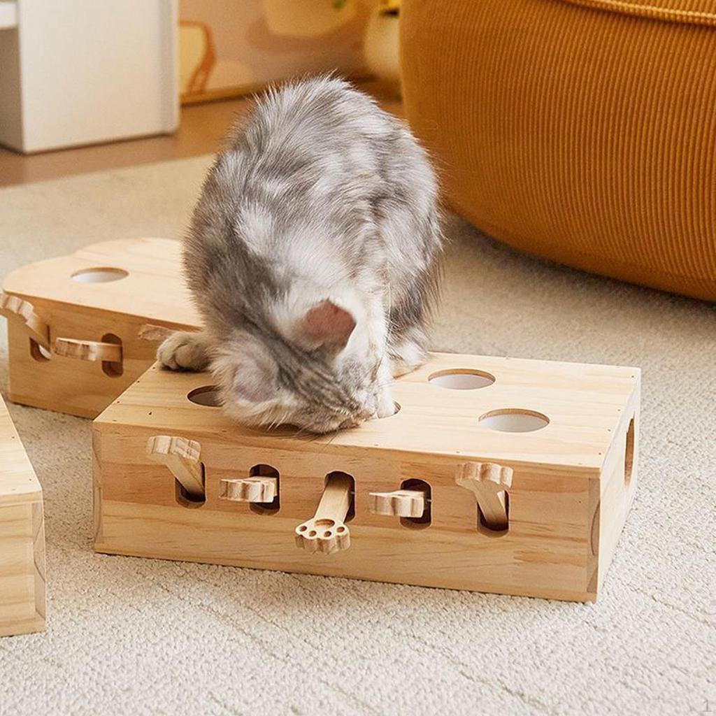 Katzen Spielzeug Mäuse Fangen Spiel Mentale Anreicherung Interaktiv