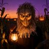 Halloween Horror Latex Scarecrow Mask With Realistic Design For Adult Cosplay