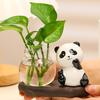 Desktop Glass Planter Vase Holder Small Cute Ceramic Panda Hydroponic Vase Decorative Flowers Plants Pot for Desk Table