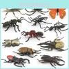 Insect Collection Model Pvc Animal Replica For Nature Study And Educational Use