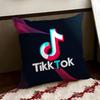 TTikTokK Cushion Cover Reversible Soft Durable Pillow Cover Home  Car MultiScene Use for Daily Comfort