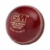 Gunn And Moore Mens Catalyst Leather Cricket Ball