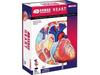 4D Human Anatomy Model Heart Puzzle 626004 Fame Master 4D Master Educational Toy STEM