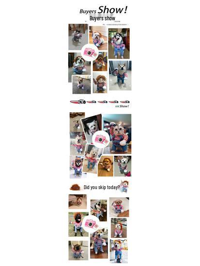 Halloween Klein- & Mittelgroßes Haustierkostüm - Hund & Katze Verwandlungskostüm