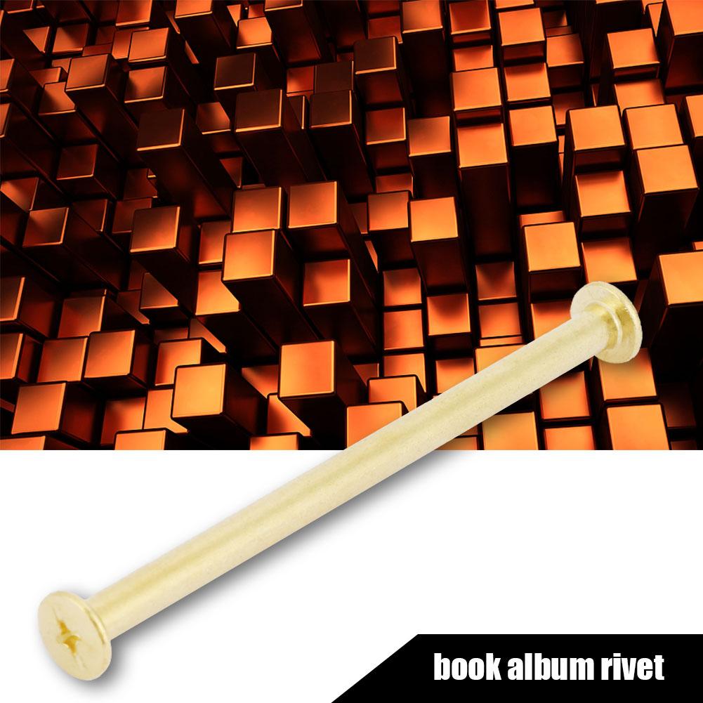 5pcs M5 Flat Head Book Album Rivets Screw Set DIY Craftmaking Rivet (M5*100)