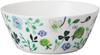 NARUMI Dinnerware Anna Floral Set for 5 Microwave Dishwasher Gift Boxed Set, Emilia, Green, Pattern, Cute, 2, Pieces, Warming, Safe, 96604-23169P