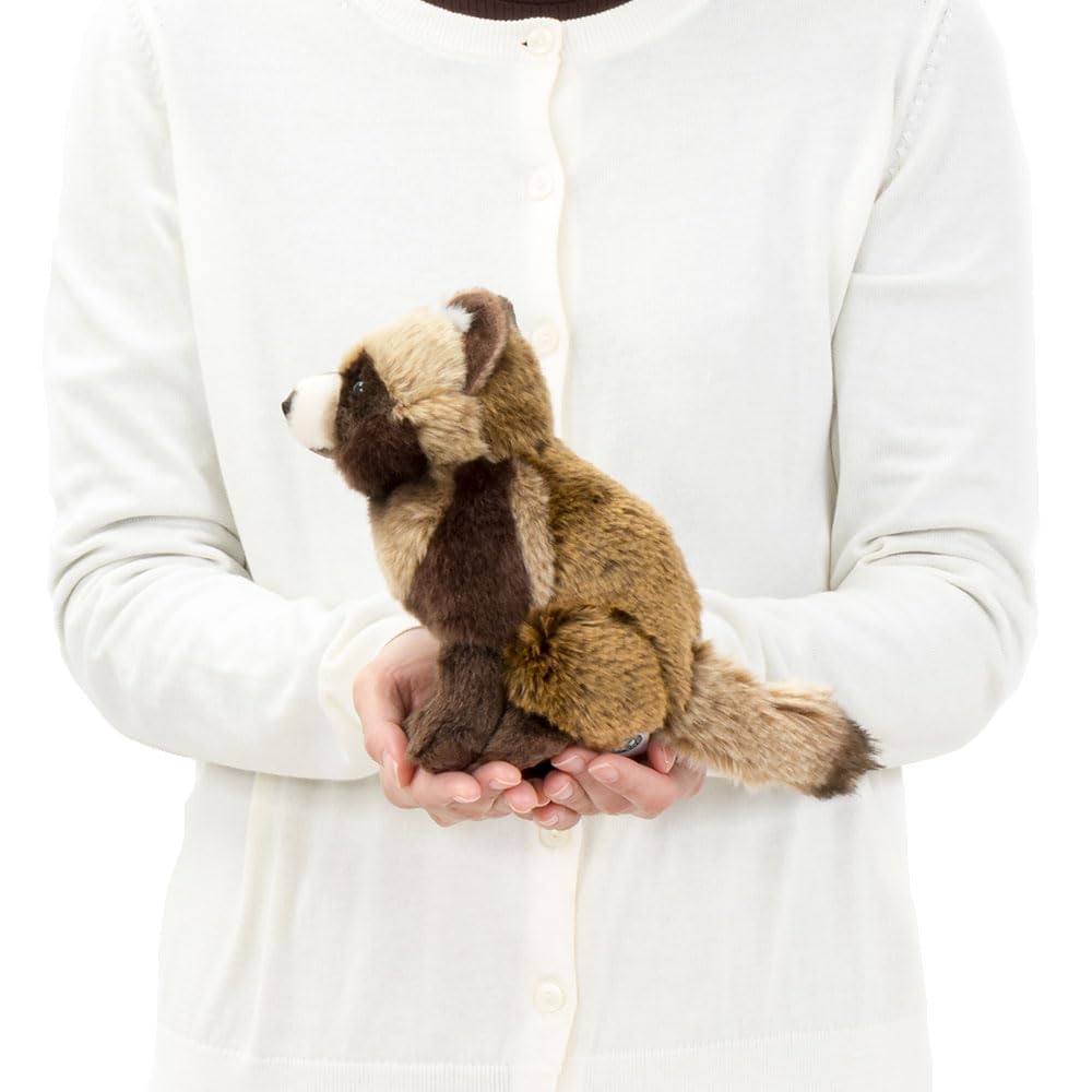 Hondo Raccoon Dog Plush Toy Animal Realistic Raccoon Dog Plush Baby Birthday Christmas Gift [COLORATA] (Realistic Baby/Soft Touch) Toy, Animal, Toy,