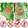 50PC Fruit Grape Protection Bags With Drawstring Fruit Netting Bags for Grapes Mango Veggies Reusable Pest Barrier Plant Bags