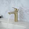 VEMUSE 304 Stainless Steel Single Cold Basin Faucet