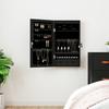 VidaXL Jewelry Cabinet with Mirror and LED Lighting Wall-Mounted Black 353230
