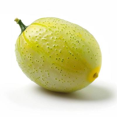 12 nasion ogórka cytrynowego – permakultura semiSauvage
