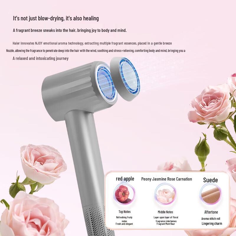Haier HF71 Negative Ion Hair Dryer