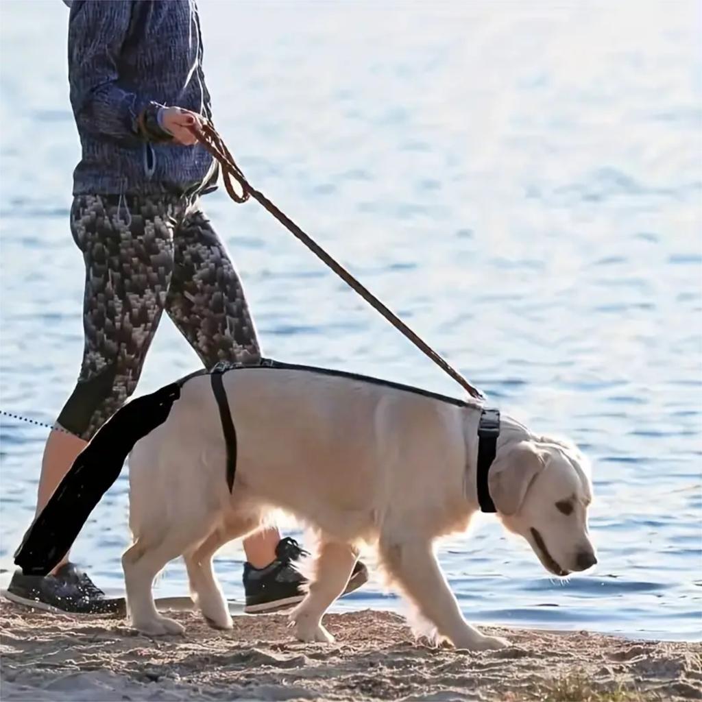 Adjustable Dog Leg Protector for Medium Large Dogs Dog Leg Cover for Wounds Dog Leg Guard with Straps and Padding