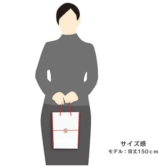 Ehime Paper Gift Paper Plum Bags, Blossom, 10-Pack, GBAG-PL-10P