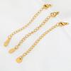 10pcs Stainless Steel Lobster Clasps 5cm Extension Extended Tail Chains for DIY Jewelry Making Bracelet Necklaces Connectors